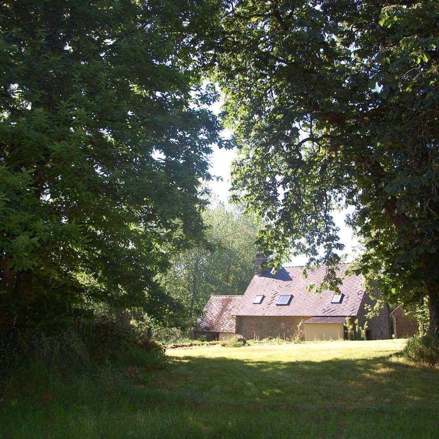 L'Angeberdiere Saint-Mars-sur-la-Futaie 外观 照片