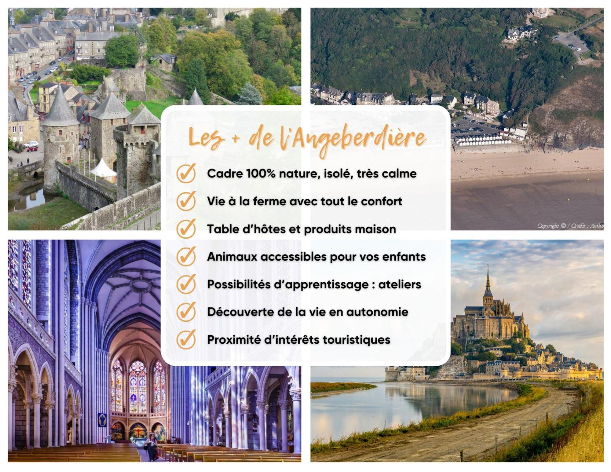 L'Angeberdiere Saint-Mars-sur-la-Futaie 外观 照片